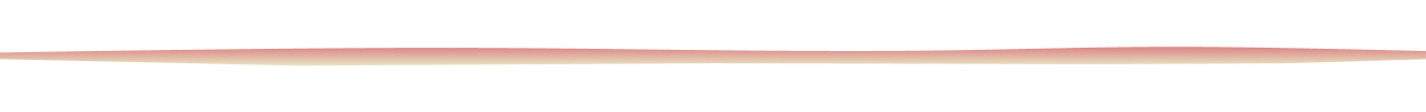 Section Break